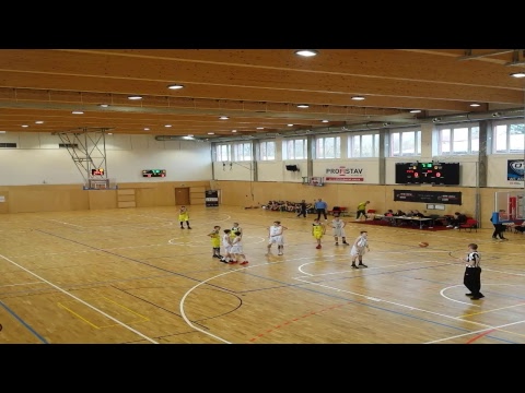 CEYBL, The Final tournament - Vienna D. C. Timberwolves - ŠBK Handlová