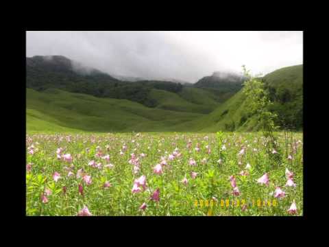 SIAN VON DEIH by Kapno