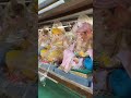 Elegant Ganpati Idols For 2025 Handcrafted Perfection In Every Detail Ganesh Chaturthi Special