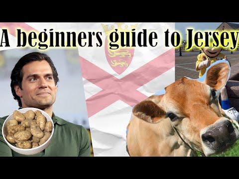 A beginners guide to Jersey