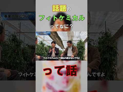 臨床検査学科 聞いたことある？今話題のフィトケミカル　#short #栄養コンシェルジュ #栄養 #健康 #栄養学 #フィトケミカル #ナナチャン #ダイエット