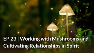 EP 23 | Working with Mushrooms and Cultivating Relationships in Spirit