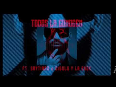 Arcangel x Brytiago x Gigolo y La Exce - Todos La Conocen | Los Favoritos 2