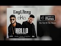 Laylizzy Hello Feat AKA Lyric Video