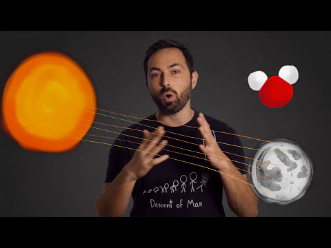 月に水？ (Water on the Moon?)