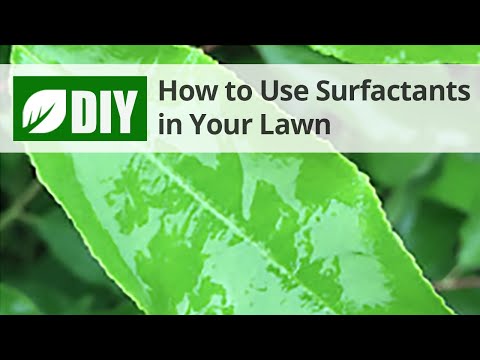 How to Use Surfactants in Your Lawn | DoMyOwn.com