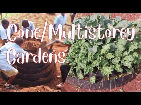 How To Make a Cone Garden/Multistorey.