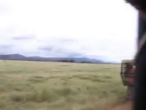 Plett Game Reserve - Game Drive Part 5