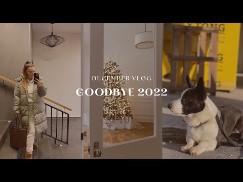 VLOG | Konec roku, zdobení stromečku, stavíme dům, návrh interiéru & začínám znovu natáčet