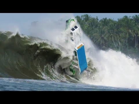 Best Fails/Wins of January 2019