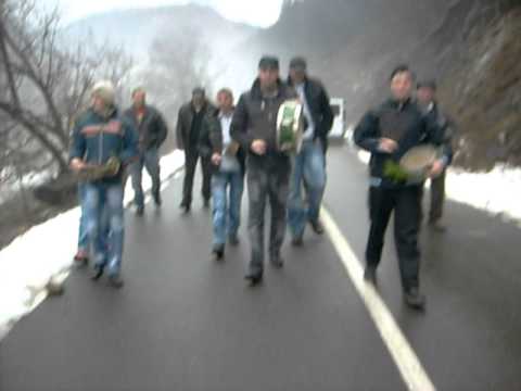 Dubasii de la Valea Poienii (Bagara)