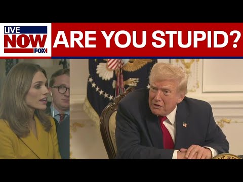 "Are you stupid?" Trump snaps at reporter over immigration, DC shooting questions