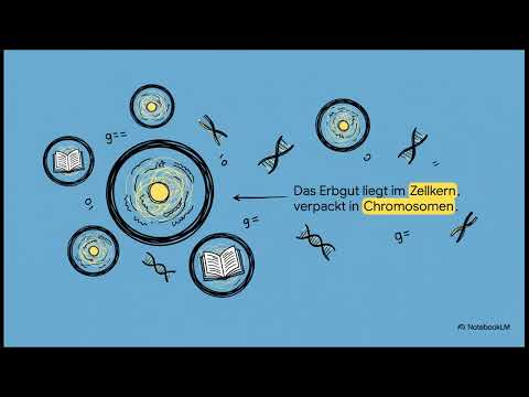 Genetik: Kapitel 1, Grundlagen