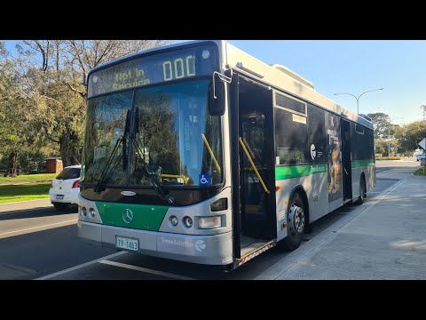 TP1463 TransBusselton Bus Mercedes-Benz Oc500le Diesel Sound