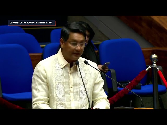 In privilege speech, lawmaker urges House: Address upcoming crisis in LGU funds