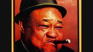 Roosevelt Sykes - all my money gone blues