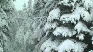 Jingle Bells - Yello Christmas - Absolutely Beautiful