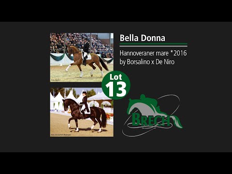 Lot 13 Bella Donna by Borsalino - De Niro. Gestüt Brech Broodmares Verden Auction