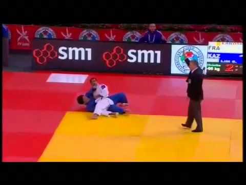 Action David LAROSE 2013