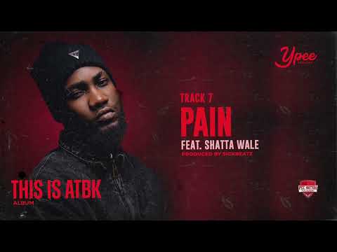 Ypee - Pain Ft. Shatta Wale (Audio Slide)
