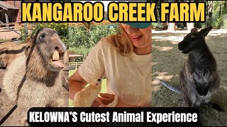Petting Kangaroos & Sugar Gliders?! | Kangaroo Creek Farm (Kelowna, BC)