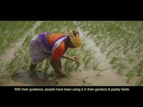 Video Image