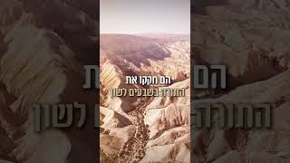 מה הדבר שהופך את התורה להרסנית | הרב שמואל אליהו (הרב שמואל אליהו) - התמונה מוצגת ישירות מתוך אתר האינטרנט יוטיוב. זכויות היוצרים בתמונה שייכות ליוצרה. קישור קרדיט למקור התוכן נמצא בתוך דף הסרטון