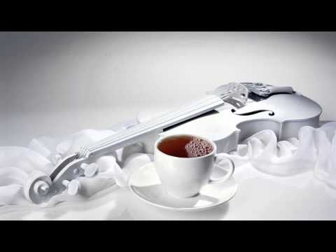 Intelligent Manners - Black Tea