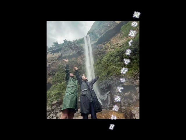 ブルーシーズン西表(BLUE SEASON IRIOMOTE)