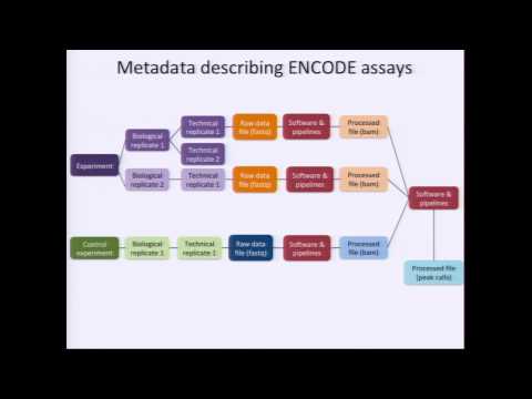 Overview of the ENCODE Data Portal - Eurie Hong