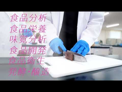 【フードコース】ｺｰｽ紹介動画