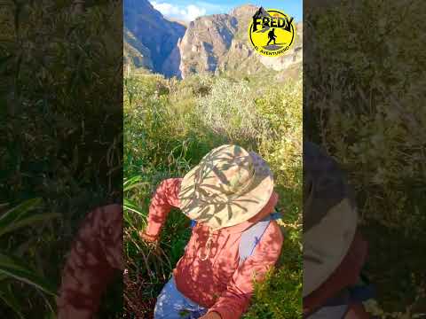 cañón de Tucuta Antabamba Apurimac #trekking #turismo #naturaleza #2026 #aventuras #fishin