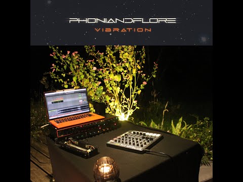 VIBRATION - LIVE MIX