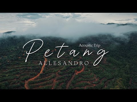 ALLESANDRO - PETANG (ACOUSTIC TRIP VERSION)
