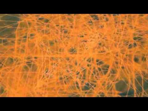 District 78 feat. Young Pops and Heavy - Get Up And Fly