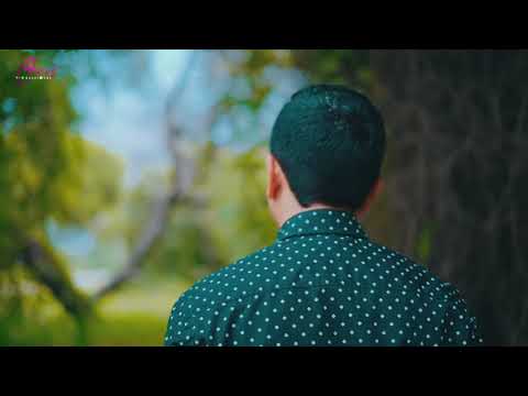 Cuando todos se alejaron tu te quedaste... Con tu amor me cuidaste me amaste padre del cielo