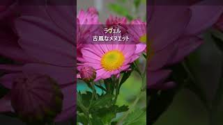 Download lagu ラヴェル:古風なメヌエット #Shorts mp3 Download lagu ラヴェル:古風なメヌエット #Shorts mp3