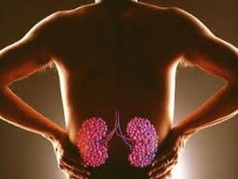 13 settimane di gravidanza mal di schiena Nella parte posteriore del loto dolore