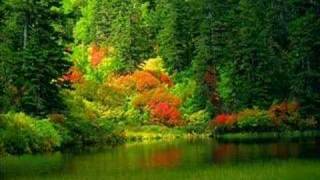 emel sayın bak yeşil yeşil