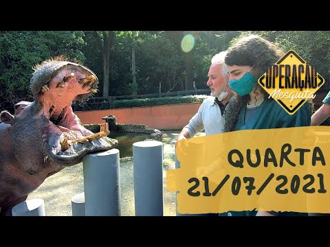 Operação Mesquita 21/07/2021 - Zoológico de Sorocaba!