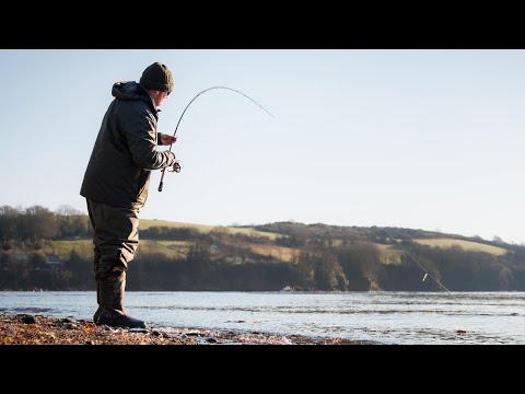 Four Top Rigs for Mullet Fishing with Float and Feeder | Full Step-by-Step Tutorial
