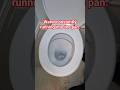 Armitage Shanks flush valve seal replacement.