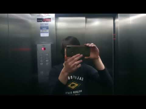 Elevador Schindler 100L Versão Comercial