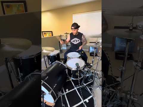 Blink 182 - The Party Song - Drum cover