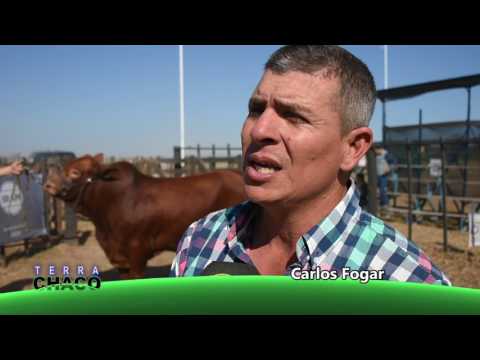 CABAÑA DON ANIBAL // AGRONEA 2017