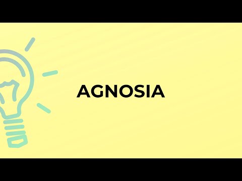 What is the meaning of the word AGNOSIA?