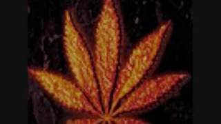 Augustus Pablo Skank on Dub