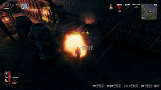 不定期Valheim、の作業する時間を設けたいと思いチルします！