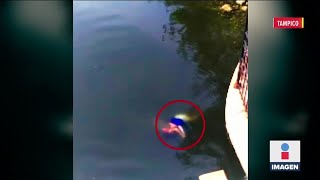 Cocodrilo mata a mujer mientras lavaba ropa en Tampico | Noticias con Ciro Gómez Leyva