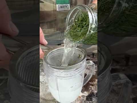 Making Sprite from Pine Needles!